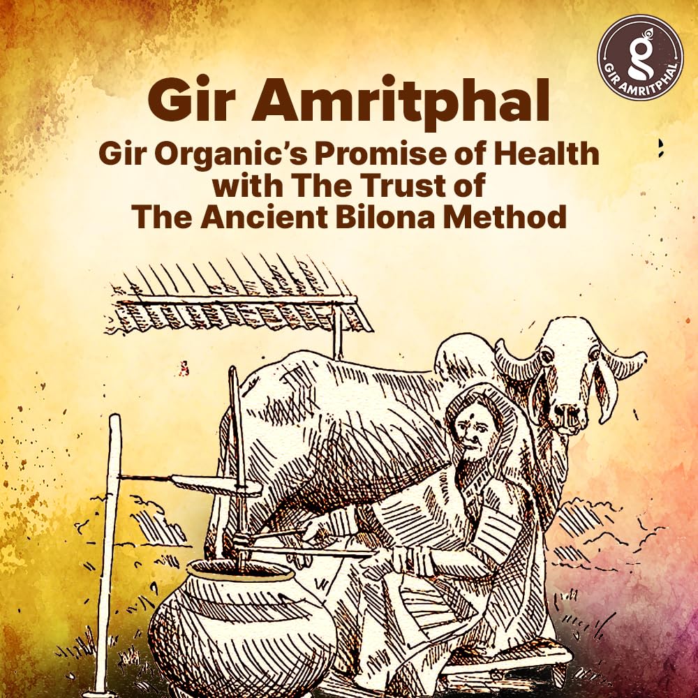 Premium A2 Bilona Gir Cow Desi Ghee By Gir Amritphal | Good Source Of Healthy Desi Cow Ghee For Body Joint Pain | 1.2Litre (300ml * 4) 40.5 Ounce | Container Jar