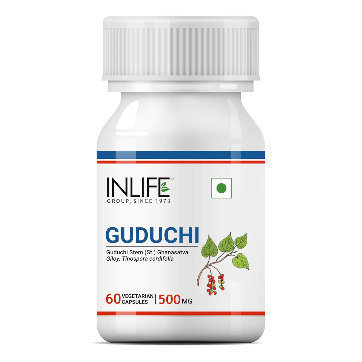 Inlife Guduchi Capsules 500mg Giloy Supplement, Stem Extract, Supports Immune Health Ayurveda | 60 Vegetarian Capsules 100gm 0.2lbs