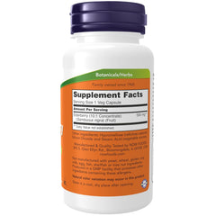 Now Foods Elderberry 500mg, Contains High Nutritive Value & Maintain Health & Well - Being | 60 Veg Capsules 100gm 0.2lbs