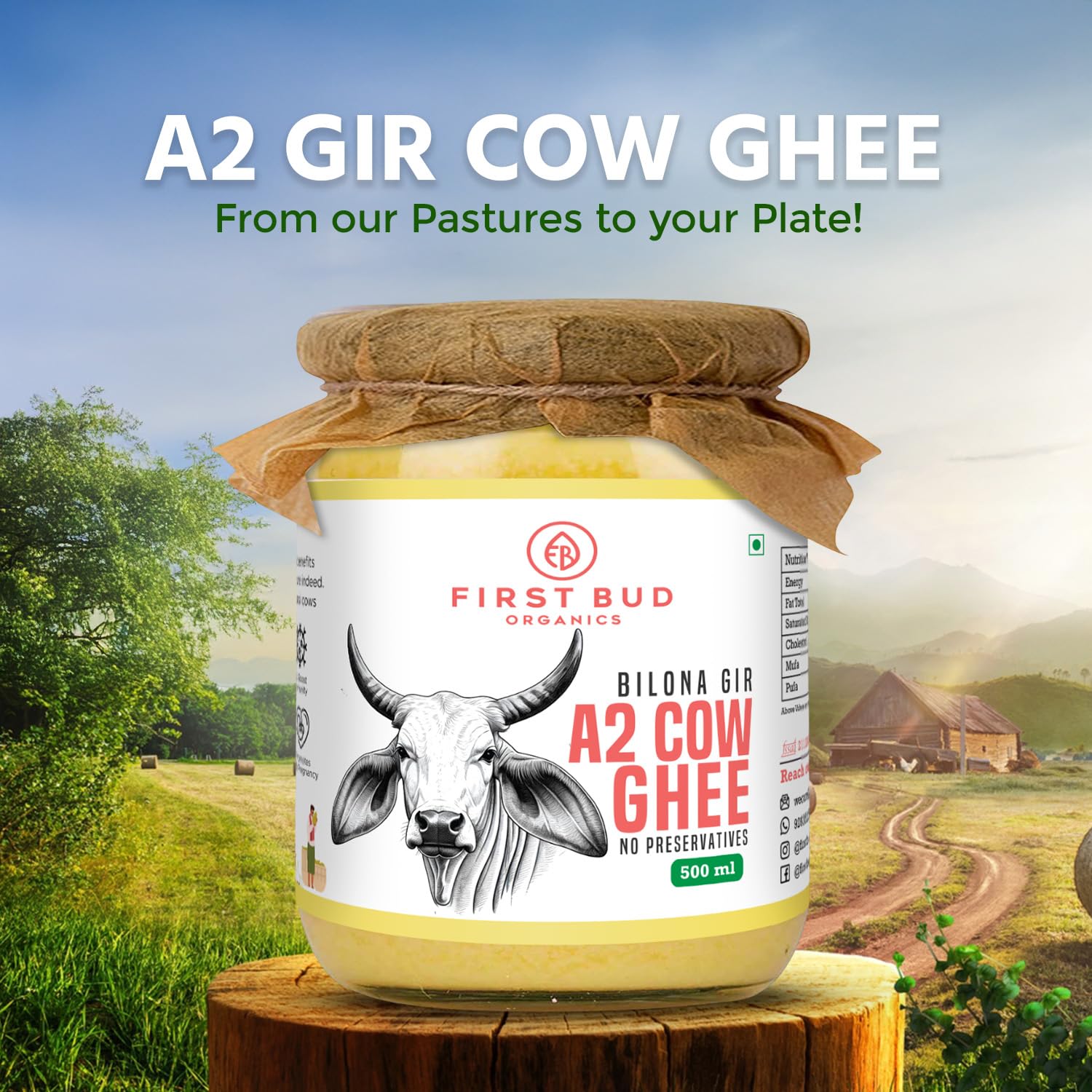 100% Natural Bilona Gir A2 Desi Ghee By First Bud Organics | Good Source Of Vitamin & Minerals Healthy Pure Desi Ghee Perfect For Halwa | (500ml) 16.9 Ounce | Jar Pack
