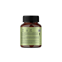 Jiva Brahmi 500mg 100% Ayurvedic Formulation Rejuvenates Nervous System, Reduces Stress, Anxiety & Slows Down Aging | 60 Tablets 100gm 0.2lbs Each Pack Of 4