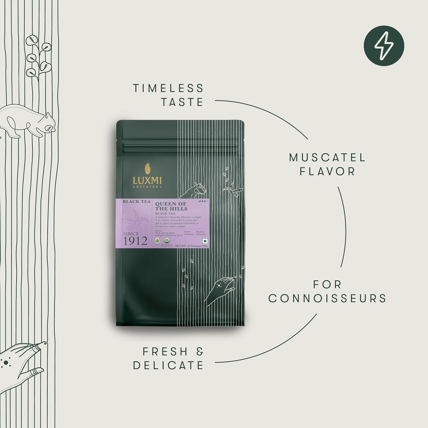 Luxmi Estates Queen Of The Hills Black Tea 100gm, 3.5 Ounce - 50 Tea Bags | Certified Organic Black Tea - 100% Biodegradable & Plastic Free | No Additives, High Caffeine Black Tea