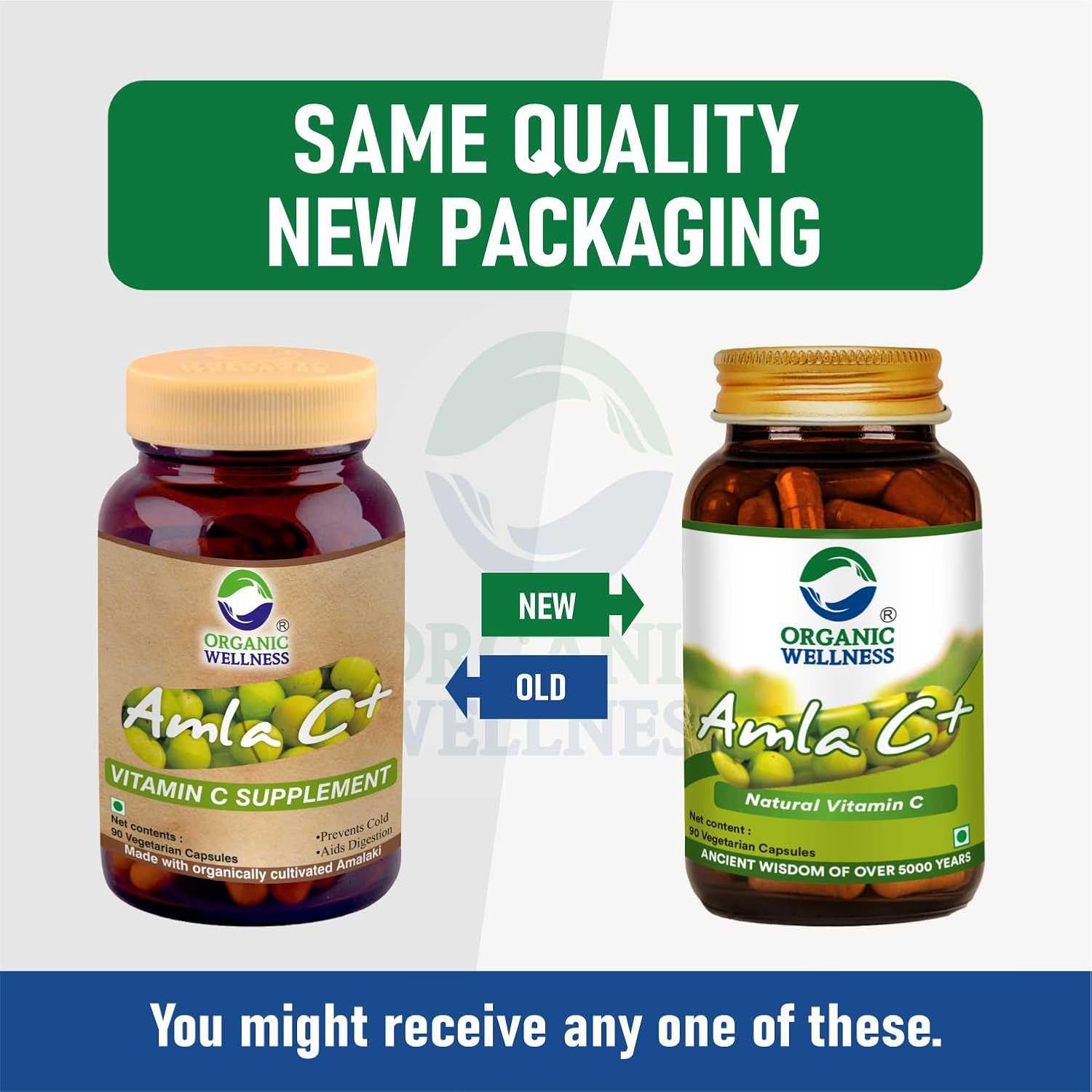 Organic Wellness Amla C+ (Amalaki) Capsules For Enhanced Hair, Skin, Digestive Health & Metabolism Support | 90 Veg Capsules 150gm 0.3lbs