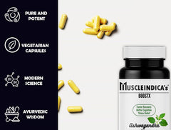 Muscleindica's Boostx Pure Ashwagandha Root Extracts 500mg, Withania Somnifera Extract, Boost Focus & Discipline - No Additives Or Fillers | 60 Capsules 100gm 0.2lbs