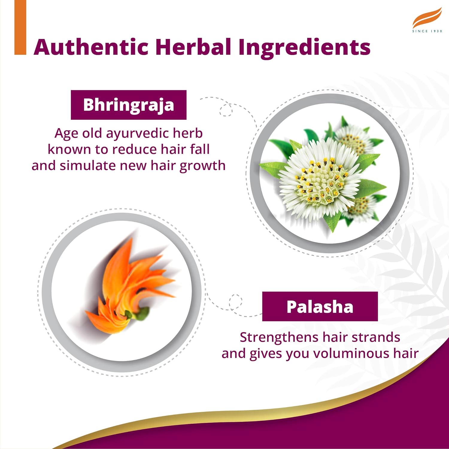 Himalaya Anti-Hair Fall Bhringaraja Shampoo, 96% Hair Fall Reduction | 650ml