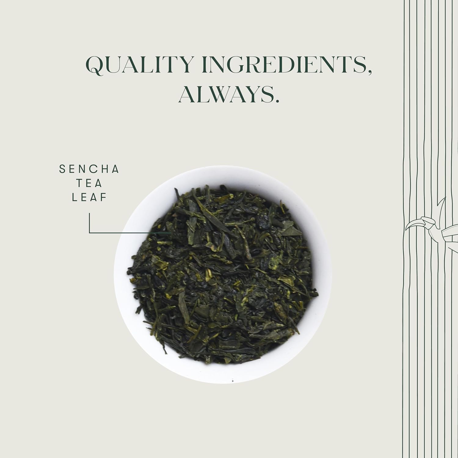 Luxmi Estates Japan Sencha Green Tea - 50gm, 1.7 Ounce | USDA Certified Organic Tea - Medium Caffeine Green Tea | Mild, Rich & Refreshing Premium Tea - Gluten Free, Additives Free