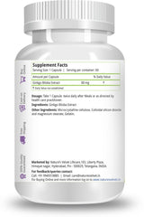 Natures Velvet Lifecare Ginkgo Biloba Extract 80mg, Improves Energy Levels | 60 Capsules 100gm 0.2lbs Each Pack Of 2
