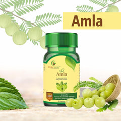 Sayurvedic Amla Health Booster Hair Care, Rich In Antioxidants, Provides Protection Against Infections, Pure Herbs | 60 Capsules, 100gm 0.2lbs