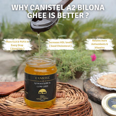 Premium A2 Desi Sahiwal Cow Ghee By Canistel | Traditionally Hand Churned With Bilona Method Healthy Pure Desi Ghee For Body Joint Pain | (500ml) 16.9 Ounce | Glass Jar