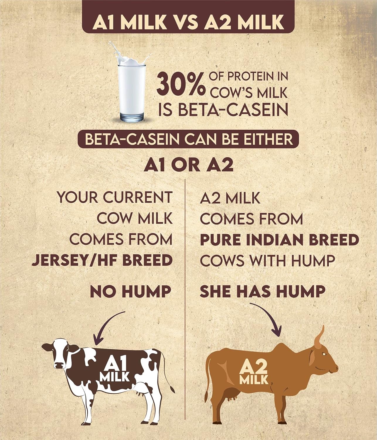 Premium A2 Indian Cow'S Desi Ghee By Manorma | Vedic Bilona Healthy Desi Ghee Perfect For Cooking | (1 Litr) 33.8 Ounce | Tin Pack