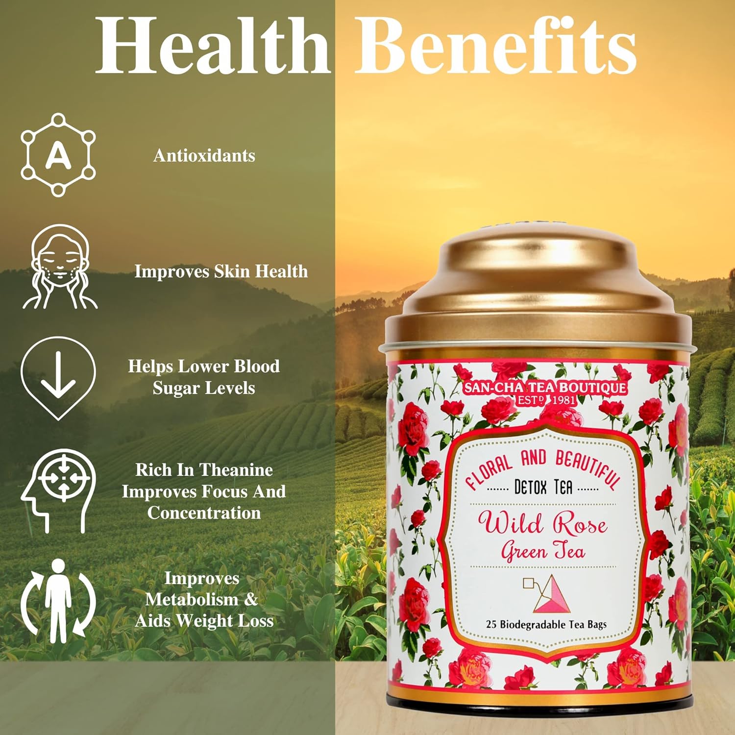 San-Cha Wild Rose Green Tea - 25 Biodegradable Tea Bags | Floral & Beautiful Detox Tea - Environment Friendly & Made In Corn Fiber | Low Caffeine