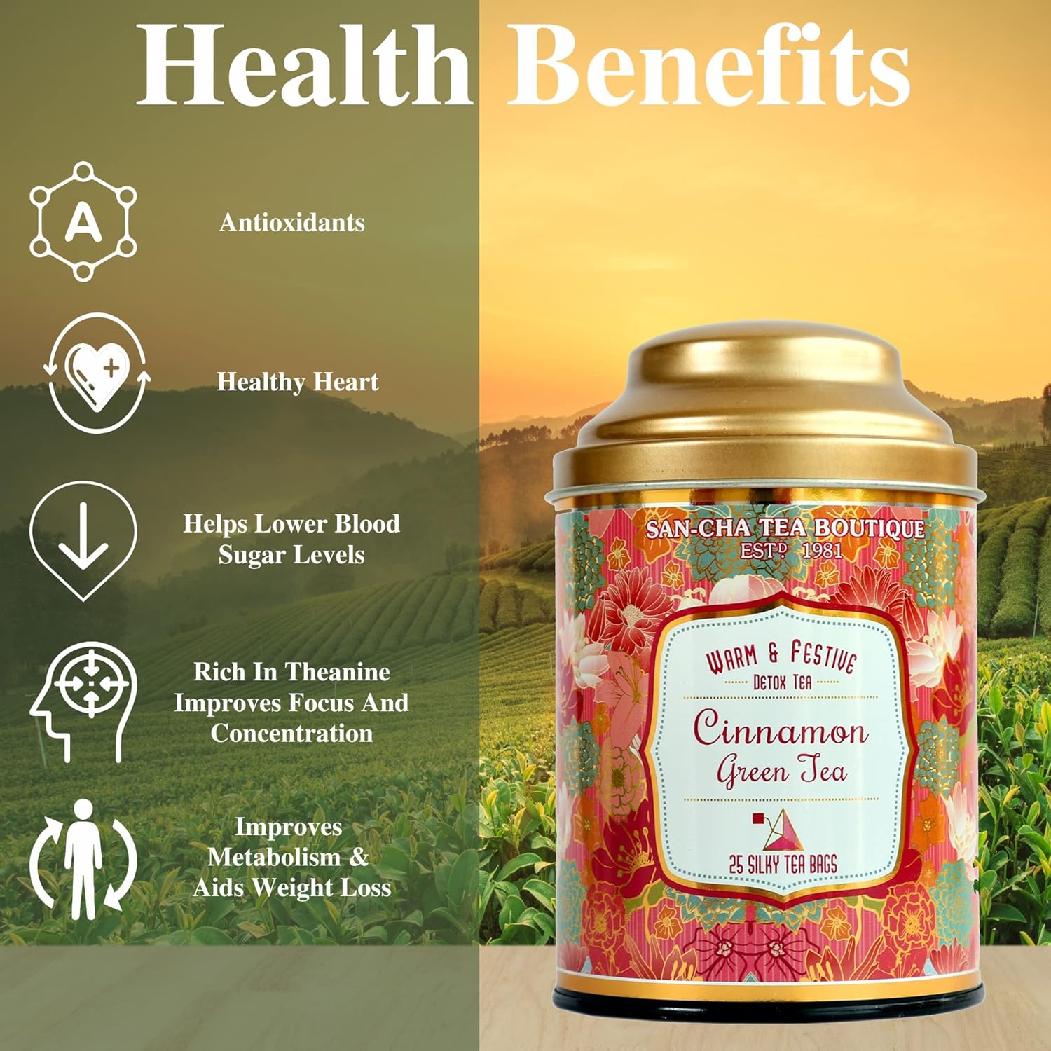 San-Cha Cinnamon Green Tea - 25 Biodegradable Silky Tea Bags | Warm & Festive Detox Tea - Environment Friendly & Made In Corn Fiber | Medium Caffeine