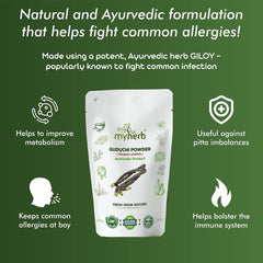 Myherb 100% Natural Organic Guduchi Powder, Giloy Powder Tinospora Cordifolia Ayurvedic Powder, Help To Increase Immunity For Men & Women | 227gm 0.5lbs
