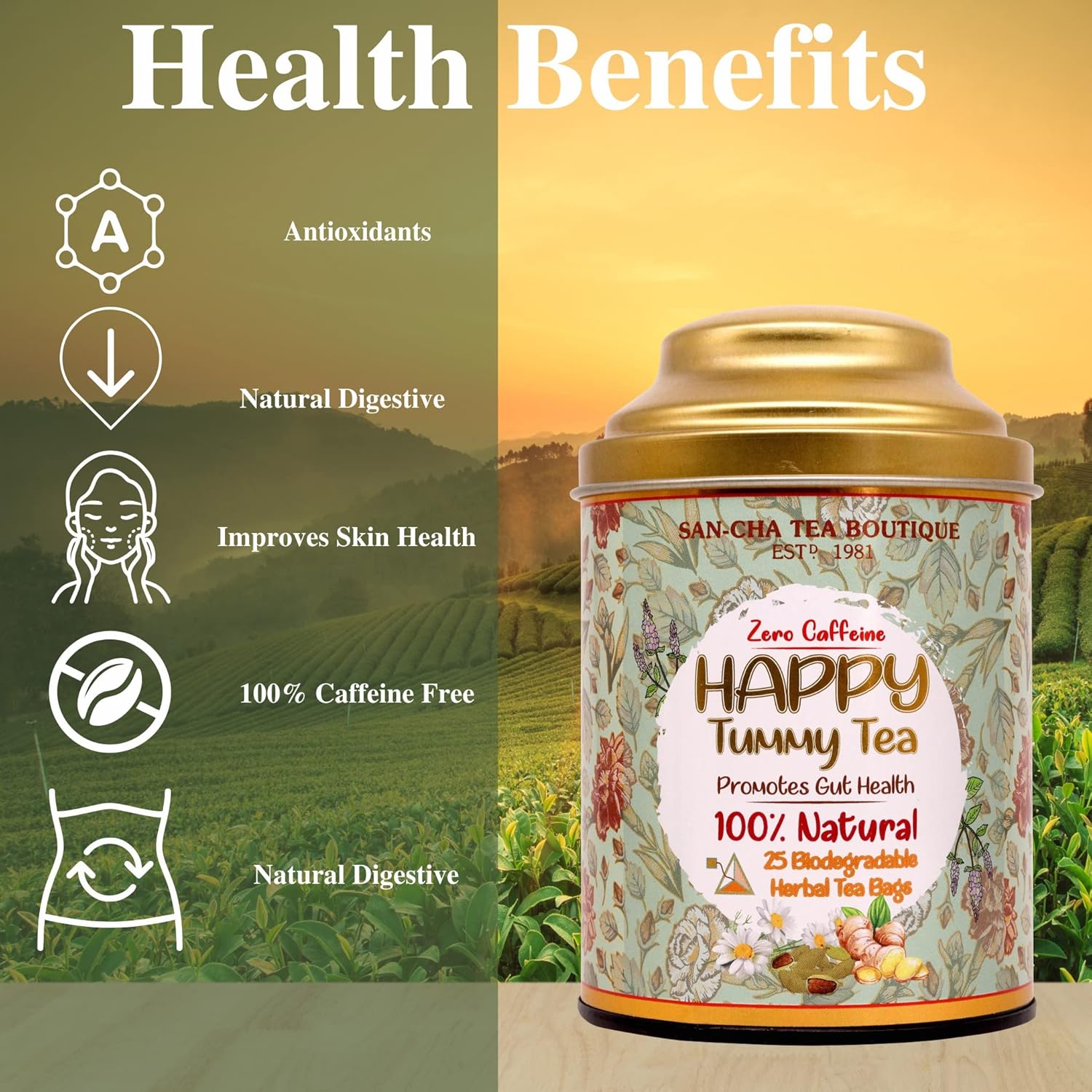 San-Cha Happy Tummy Herbal Tea - 25 Biodegradable Herbal Tea Bags | Promotes Gut Health - Zero Caffeine | Digestive Tea