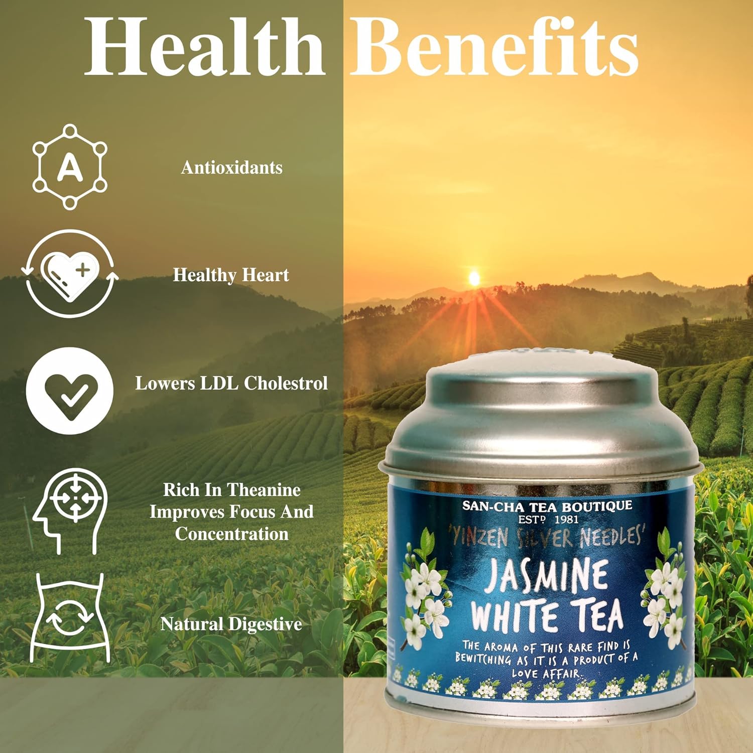 San-Cha Yinzen Silver Needles Jasmine White Tea - 25gm, 0.8 Ounce | Improves Focus & Concentration - Low Caffeine, Richest In Antioxidants