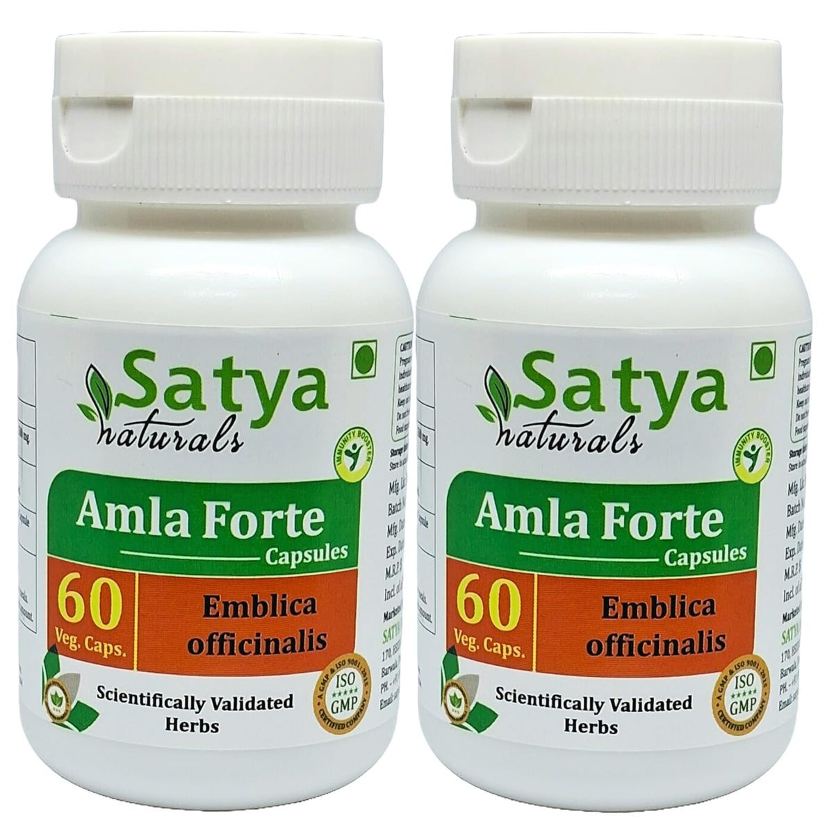 Satya Naturals Emblica Officinalis Amla, Amalaki Extract Capsules Highest Potency, 100% Herbal Product | 500mg 60 Veg Capsules 100gm 0.2lbs Each Pack Of 2