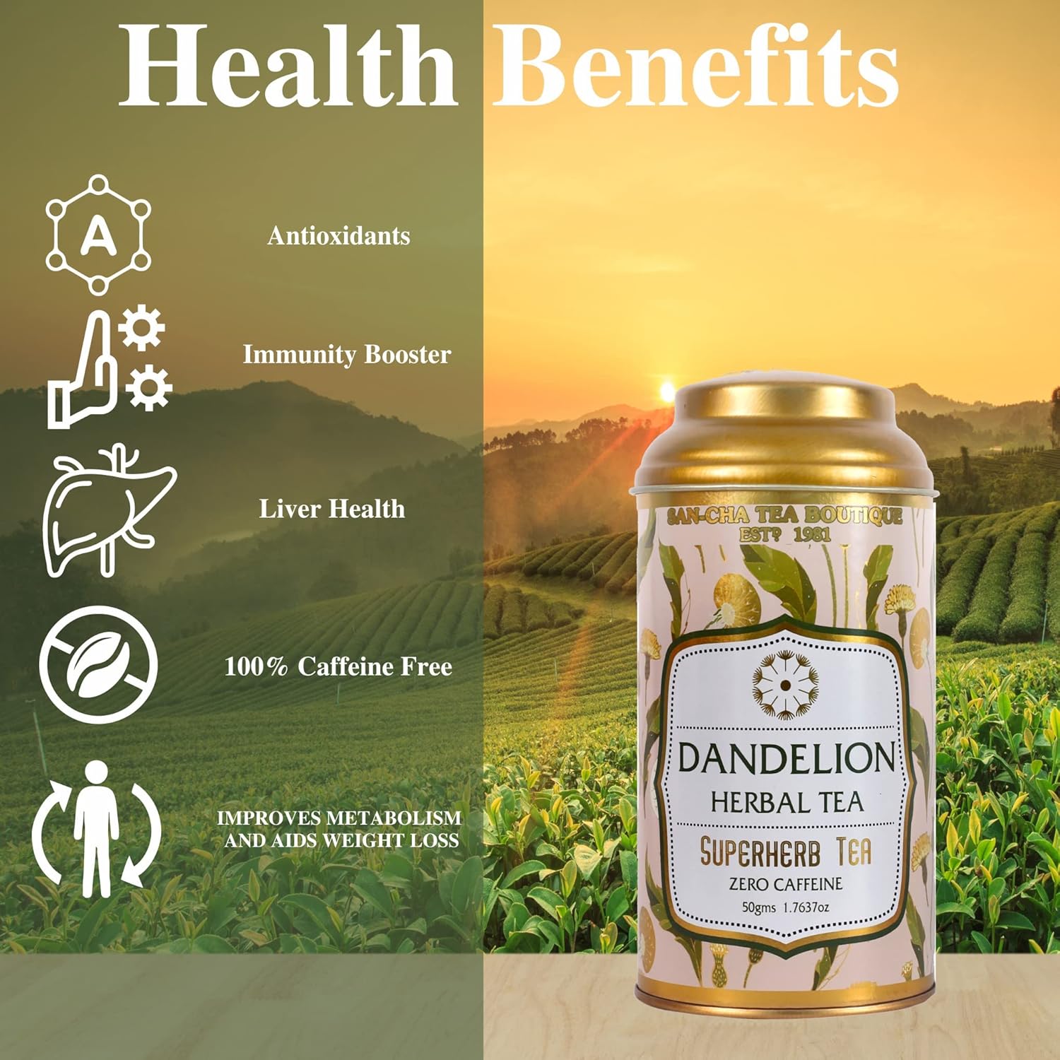 San-Cha Dandelion Herbal Tea - 50gm, 1.7 Ounce | Rich In Antioxidants, Super Herb Herbal Tea - Zero Caffeine, Environment Friendly