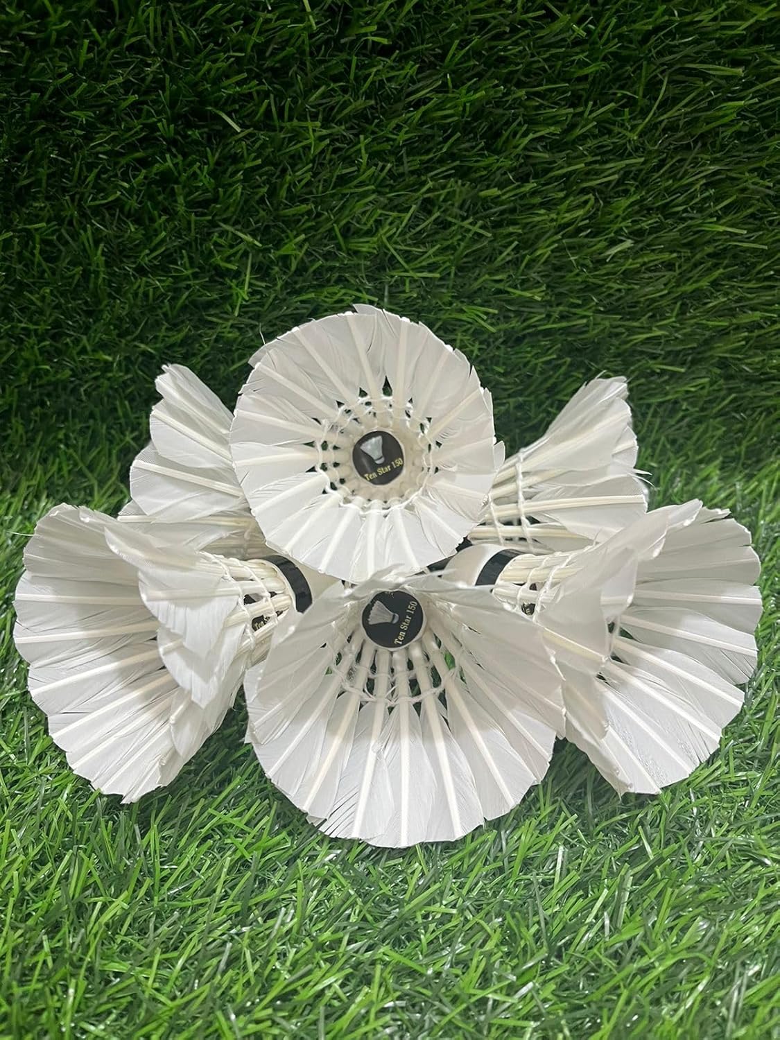 Ten Star 150 Premium White Feather Badminton Shuttlecock For Indoor And Outdoor | Pack Of 10 , With Heavy Cork And Excellent Flite For Beginner