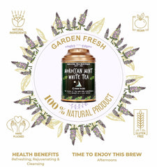 San-Cha Moroccan Mint White Tea - 25gm, 0.8 Ounce, 25 Pyramid Tea Bags | Environment Friendly, Made In Corn Fiber Cool - Low Caffeine, Richest In Antioxidants