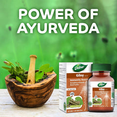 Dabur Giloy Tablets Immunity Booster, Blood Purifier, Health & Well - Being | 60 Tablets 100gm 0.2lbs