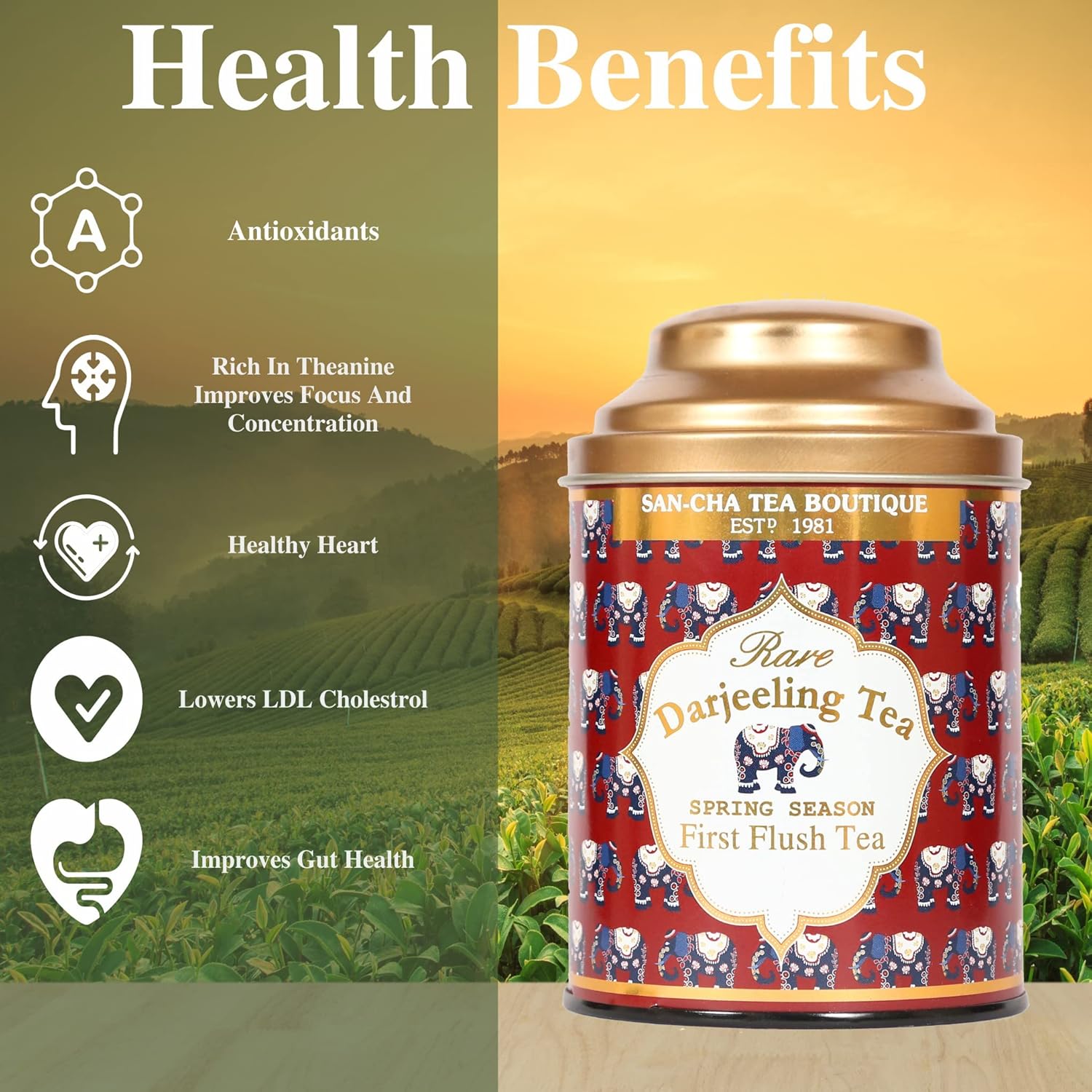 San-Cha First Flush Rare Darjeeling Tea - 100gm, 3.5 Ounce, 50+ Cups | Spring Season Harvest Darjeeling Tea - Medium Caffeine Loose Tea Leaf