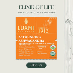 Luxmi Estates Astounding Ashwagandha Turmeric Ginger Herbal Tea Bags 30gm, 1.05 Ounce - 15 Tea Bags | Certified USDA Organic Herbal Tea Bags For Stress Support