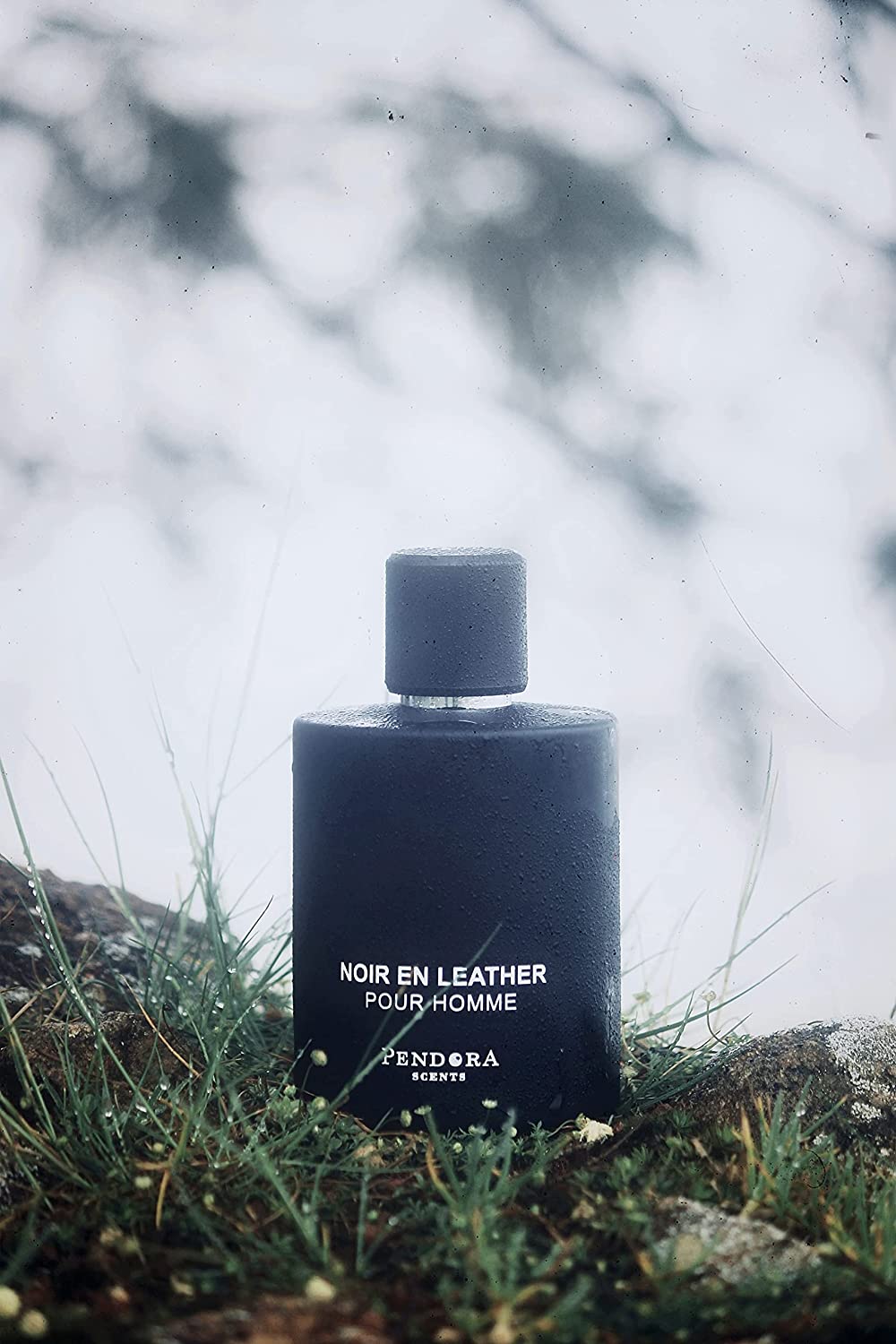 Pendora Scents Noir En Leather Pour Homme Eau De Parfum 100ml 3.4 Fl.oz. Masculine Fragrance | Long Lasting