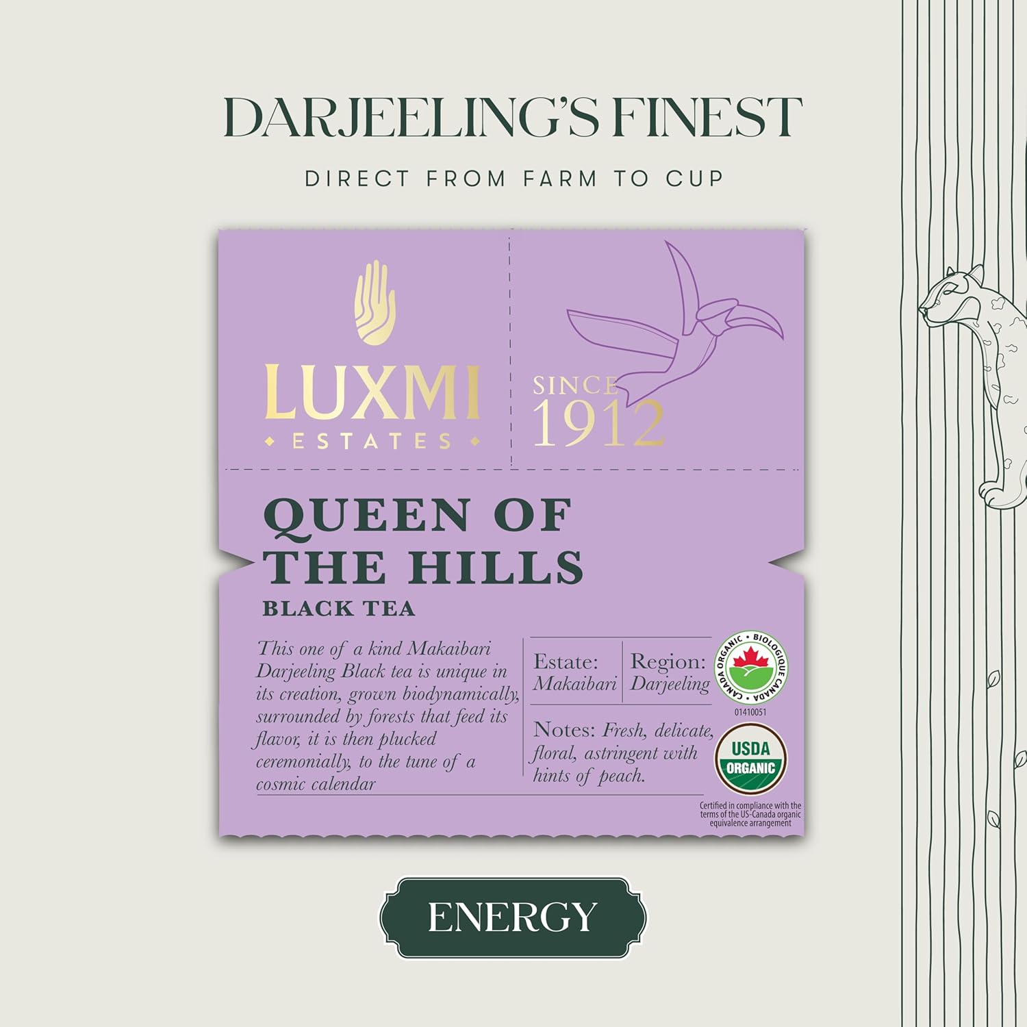 Luxmi Estates Queen Of The Hills Black Tea 100gm Tin, 3.5 Ounce - 50 Cups | Certified Organic Black Tea - 100% Biodegradable & Plastic Free | No Additives, High Caffeine Black Tea