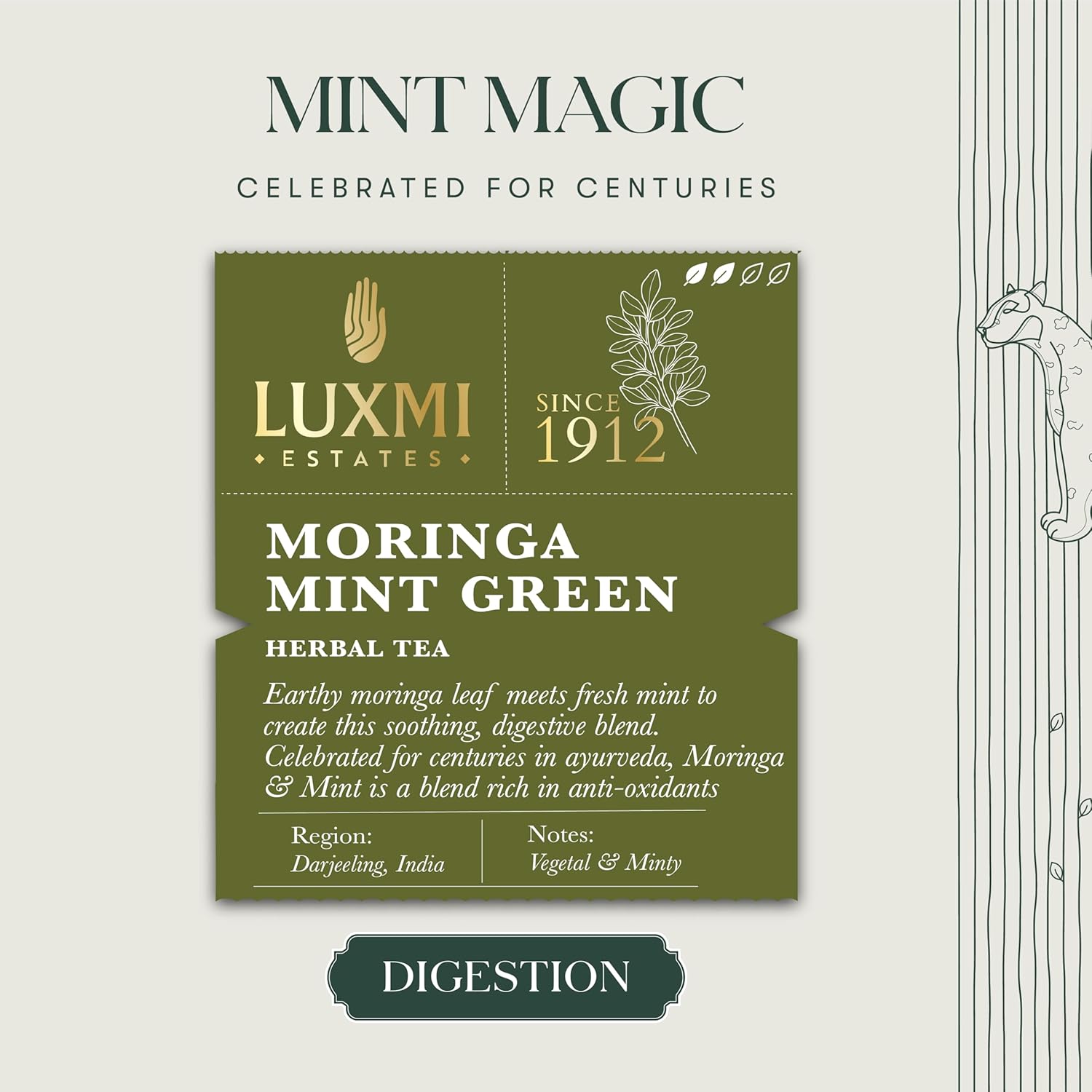 Luxmi Estates Moringa Mint Green Herbal Tea - 100gm, 3.5 Ounce, 50 Tea Bags | USDA Certified Organic Green Tea Powder - Caffeine Free Herbal Tea | Rich In Antioxidants, Additives Free