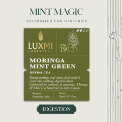 Luxmi Estates Moringa Mint Green Herbal Tea - 100gm, 3.5 Ounce, 50 Tea Bags | USDA Certified Organic Green Tea Powder - Caffeine Free Herbal Tea | Rich In Antioxidants, Additives Free