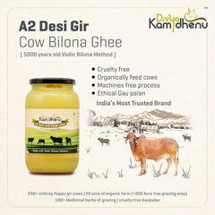 Natural A2 Desi Gir Cow Ghee By Divya Kamdhenu | Healthy & Delicious Nutrients Lab Certified Desi Ghee Good For Body Health | (1 Litr) 33.8 Ounce | Jar Pack