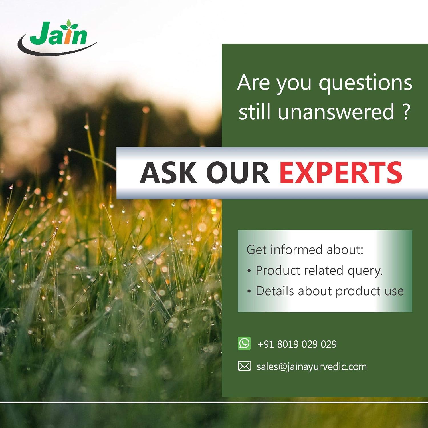 Jain Ashwagandha Powder, Provides Extra Energy, Stress Relief, Sound Sleep, Sugar Support & Immunity | 100gm 0.2lbs Each Pack Of 2