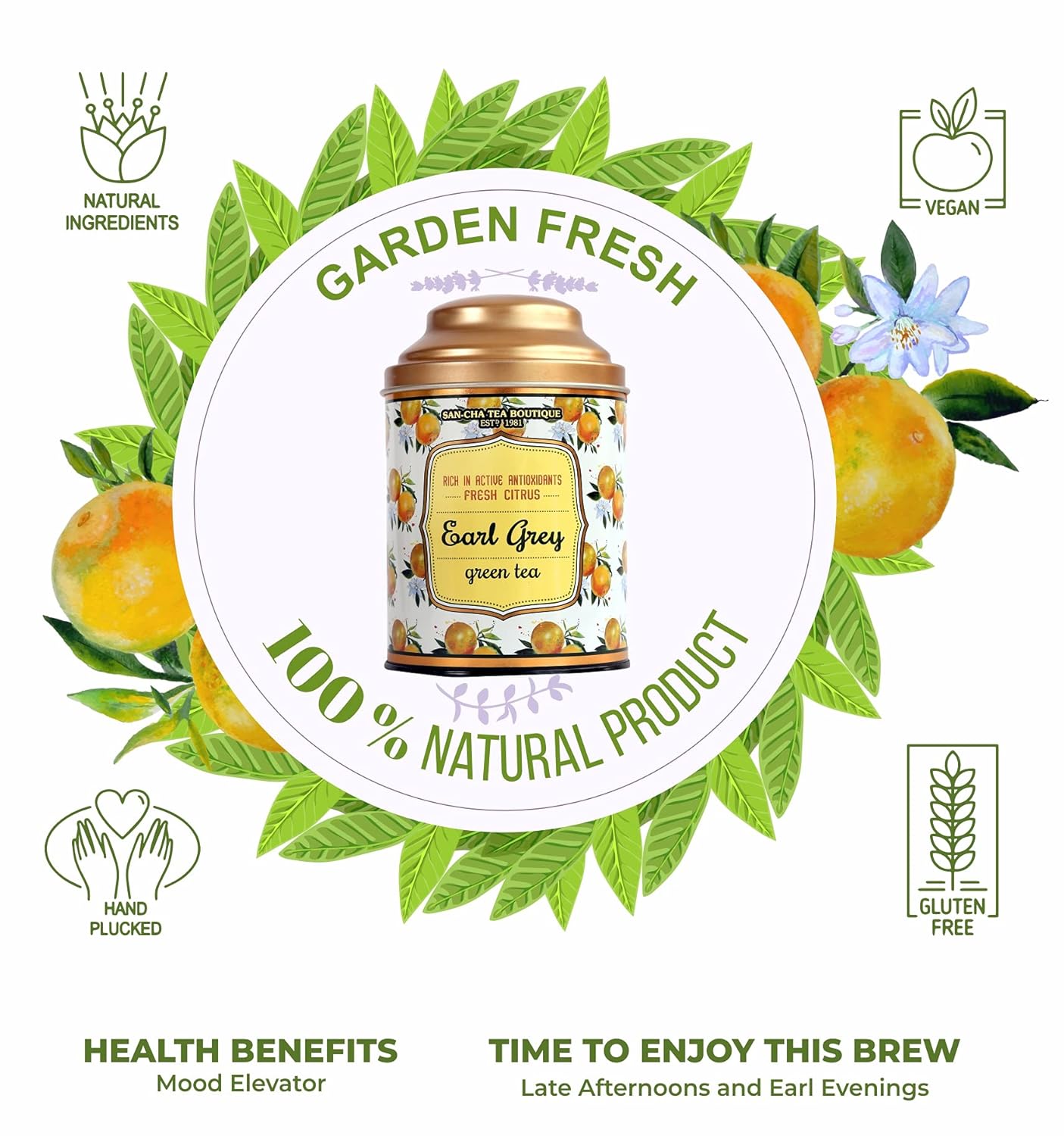 San-Cha Earl Grey Green Tea - 100gm, 3.5 Ounce | Rich In Active Antioxidants & Fresh Citrus - Environment Friendly & Made In Corn Fiber | Low Caffeine