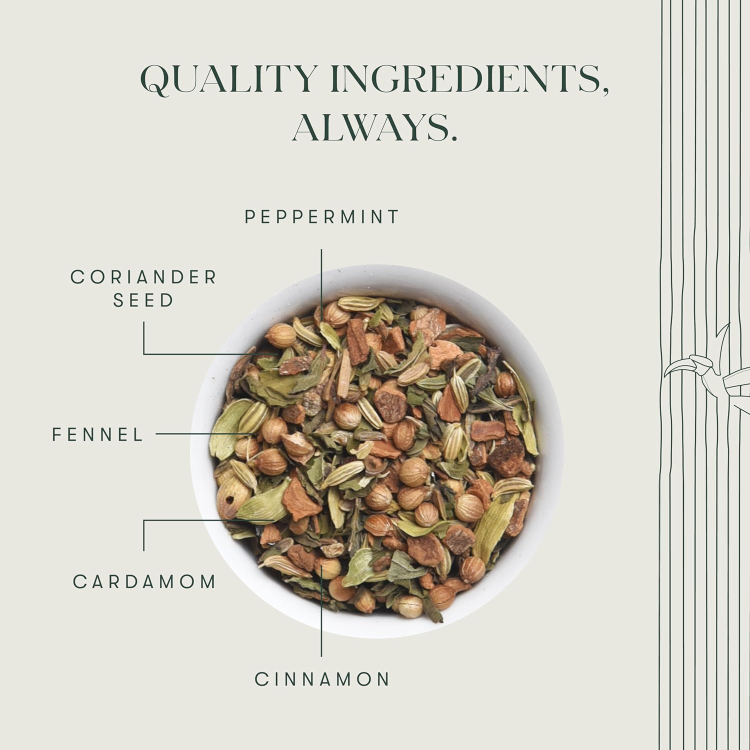 Luxmi Estates Fennel Mint Herbal Tea - 100gm Tin Caddy, 3.5 Ounce, 50 Cups | USDA Organic Certified Tea - Caffeine Free Herbal Tea | Additives Free Loose Leaves