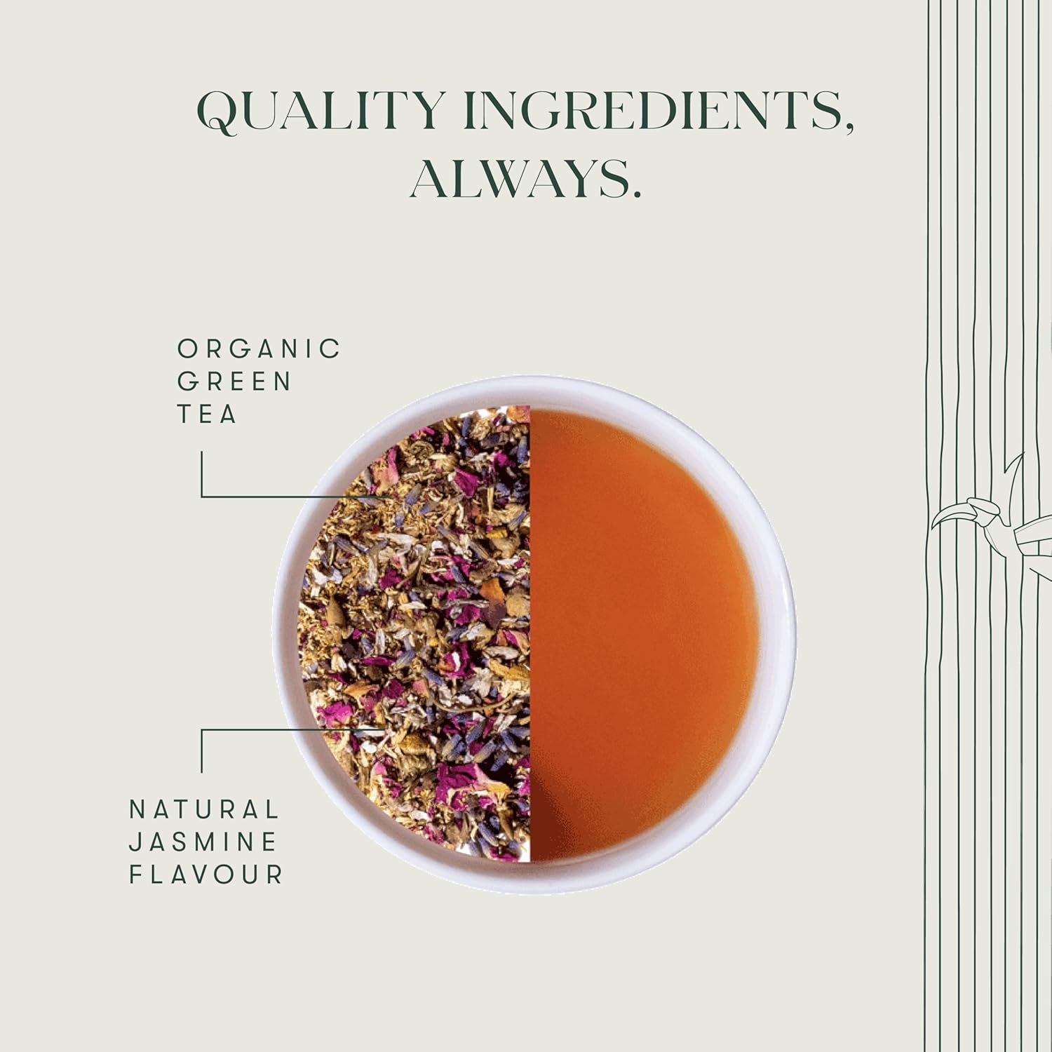 Luxmi Estates Midnight Bloom Jasmine Green Tea - 50gm, 1.7 Ounce, 25 Tea Bags | USDA Certified Organic Tea - Low Caffeine Green Tea | Additives Free Darjeeling Green Tea