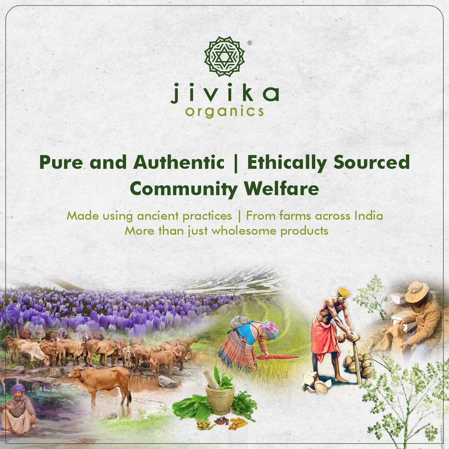 100% Pure Desi Cow Ghee By Jivika Naturals | Good Source Of Vitamin A & Healthy Desi Ghee Perfect For Digestive Health | (1 Litre) | 33.8 Ounce | Jar Pack