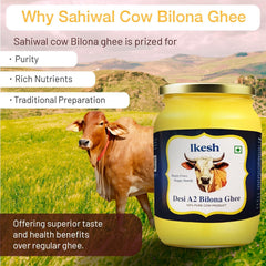 Organic A2 Bilona Cow Desi Ghee By Ikesh | High In Protein Fiber Healthy Desi Bilona Method Ghee Perfect For Heart Health | (500ml) 16.9 Ounce | Jar Pack