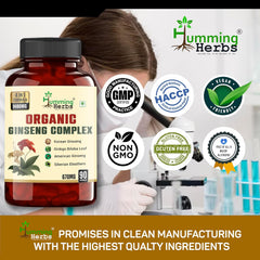 Humming Herbs Ginseng Complex 1480mg Enhanced Absorption With Korean Ginseng, Ginkgo Biloba, American Ginseng & Siberian Eleuthero | 90 Capsules 150gm 0.3lbs
