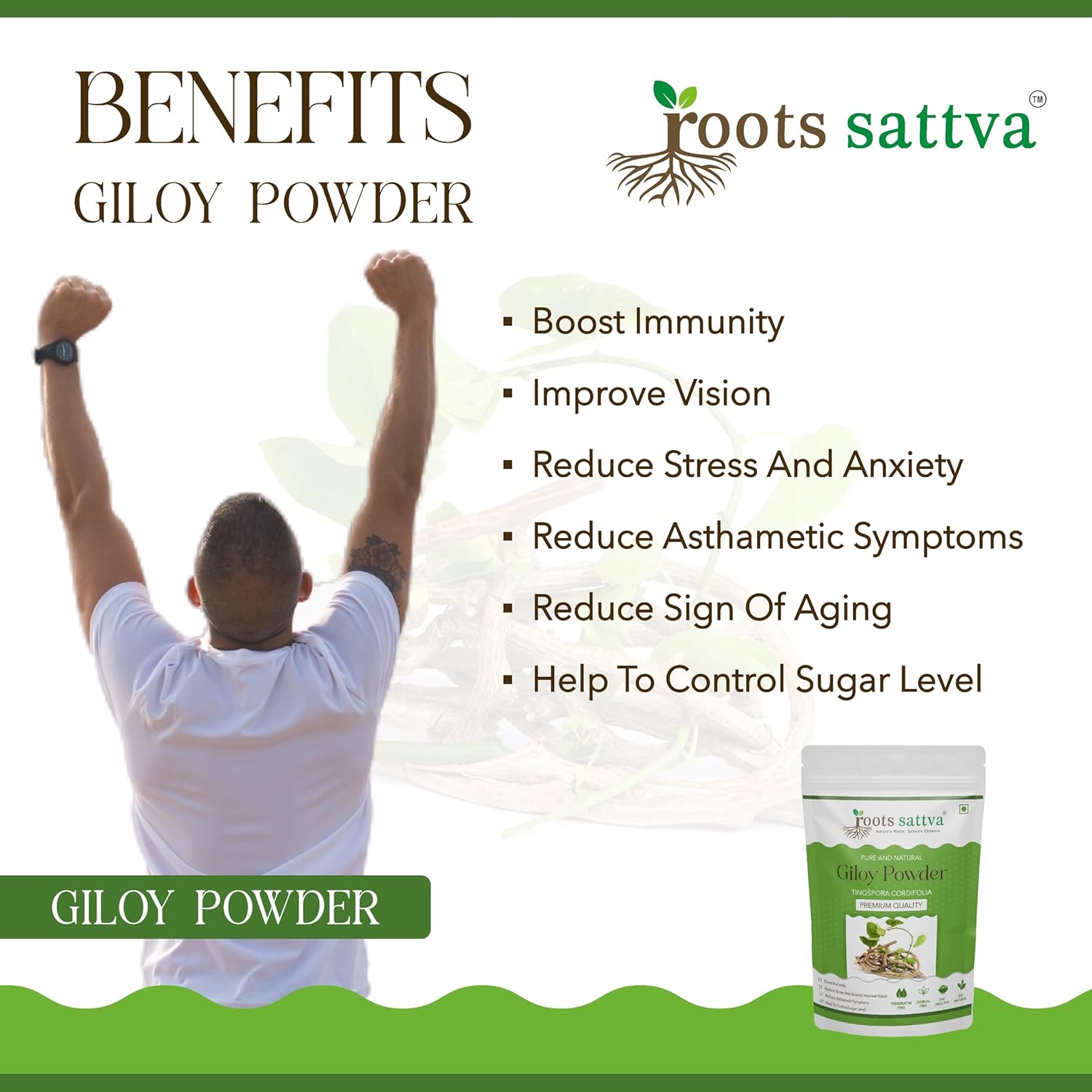Roots Sattva Giloy Powder, Organic Sustainable Sourced, Immune Boosting, Digestion, Reduces Stress, Immune - Boosting Properties, Help Fight Infections & Prevent Illnesses | 200gm 0.4lbs