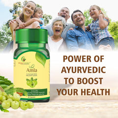 Sayurvedic Amla Health Booster Hair Care, Rich In Antioxidants, Provides Protection Against Infections, Pure Herbs | 60 Capsules, 100gm 0.2lbs
