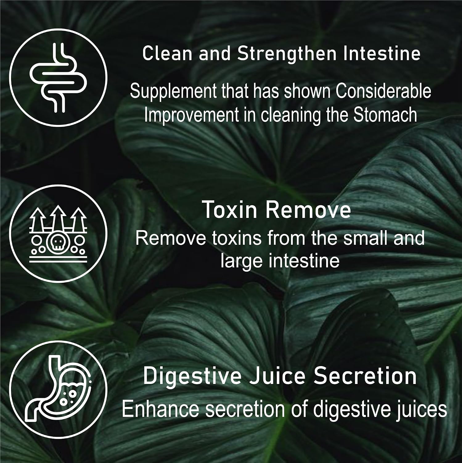 Eternal Life Digo Plus Digestive System Support Supplement Natural Ingredients Acidity Remedy Gastrointestinal Health Relief From Digestive Discomfort Constipation Aid | 60 Capsules, 100gm 0.2lbs
