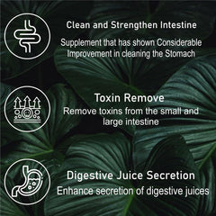 Eternal Life Digo Plus Digestive System Support Supplement Natural Ingredients Acidity Remedy Gastrointestinal Health Relief From Digestive Discomfort Constipation Aid | 60 Capsules, 100gm 0.2lbs
