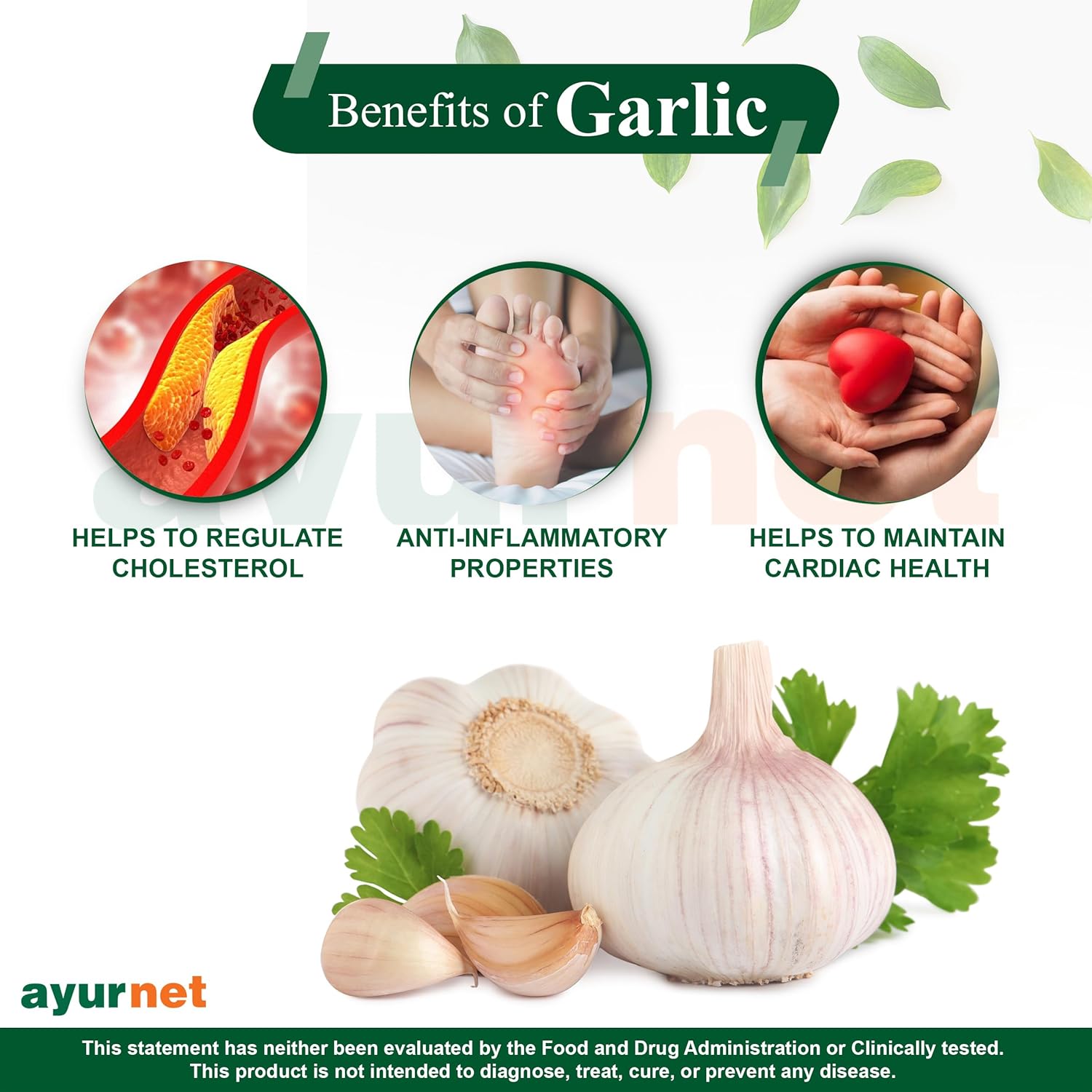 Ayurnet Garlic Capsules Helps To Regulates Cholesterol & Keep Away From Hyper Tension, 100% Organic & Vegetarian | 60 Capsules 100gm 0.2lbs