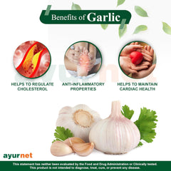 Ayurnet Garlic Capsules Helps To Regulates Cholesterol & Keep Away From Hyper Tension, 100% Organic & Vegetarian | 60 Capsules 100gm 0.2lbs