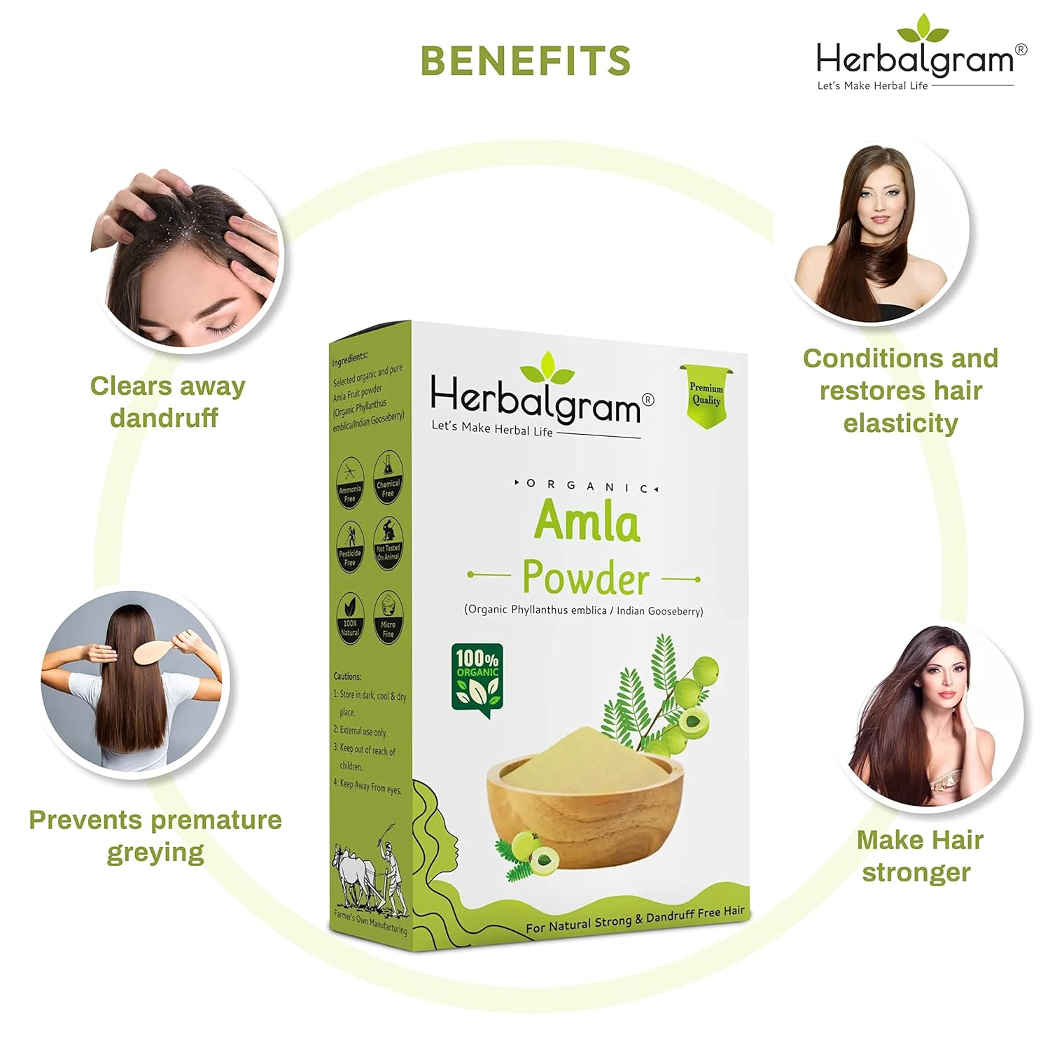 Herbalgram Organic Amla Powder Hair Growth Skin Care Scalp Treatment, 100% Natural, No Preservatives | 100gm 0.2lbs