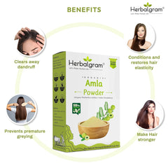 Herbalgram Organic Amla Powder Hair Growth Skin Care Scalp Treatment, 100% Natural, No Preservatives | 100gm 0.2lbs