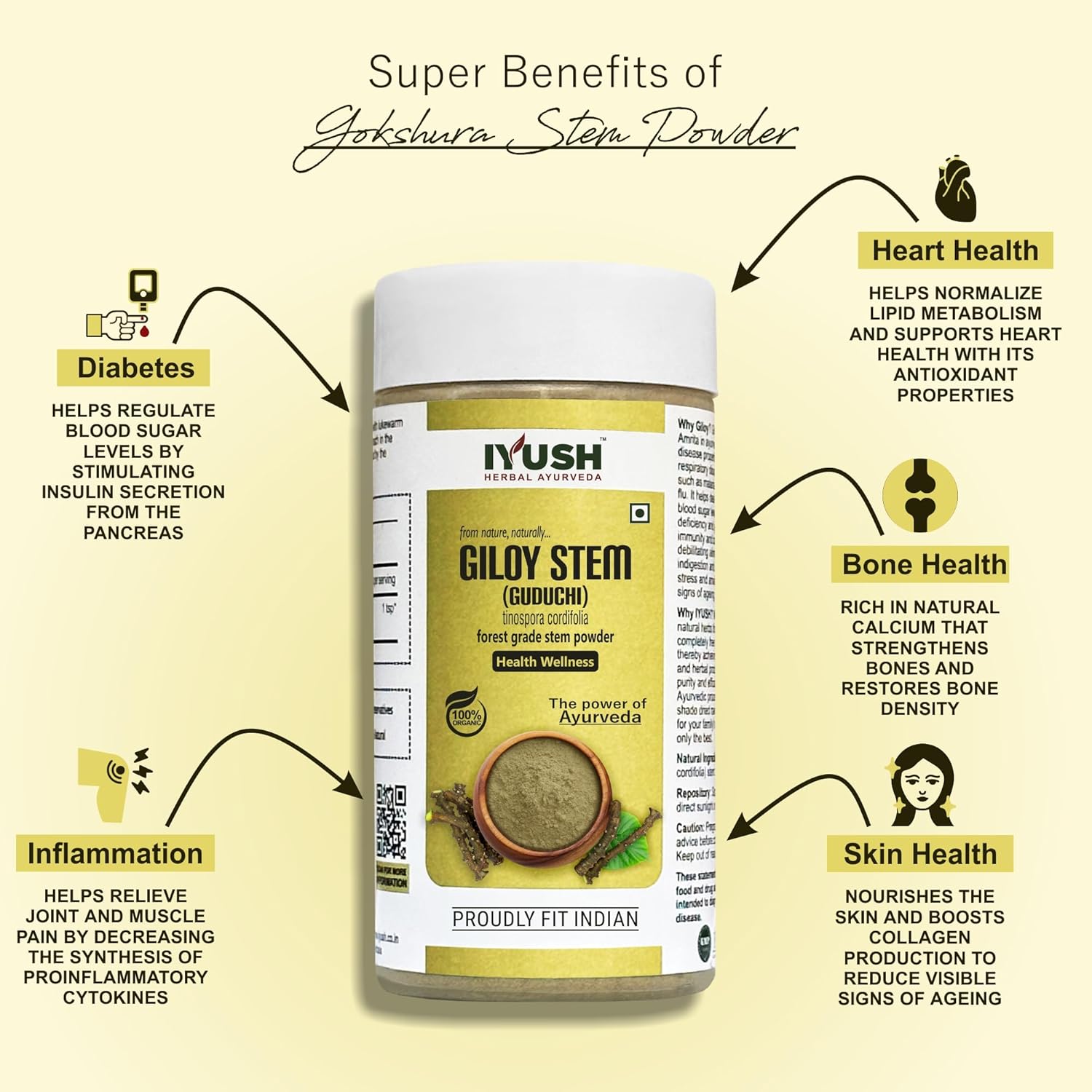 Iyush Herbal Ayurveda Giloy Powder, For Immunity Booster & Healthy Metabolism, 100% Forest Variety Herbs, 100 Organic, 100% Pure, Natural | 100gm 0.2lbs