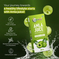 Nutriorg Amla Juice Organic Amla Juice For Hair & Skin, Rich In Vitamin C, Cold - Pressed Indian Gooseberry Juice, Detox, Weight Loss & Immunity Boosting, No Added Sugar | 500ml 1.1lbs