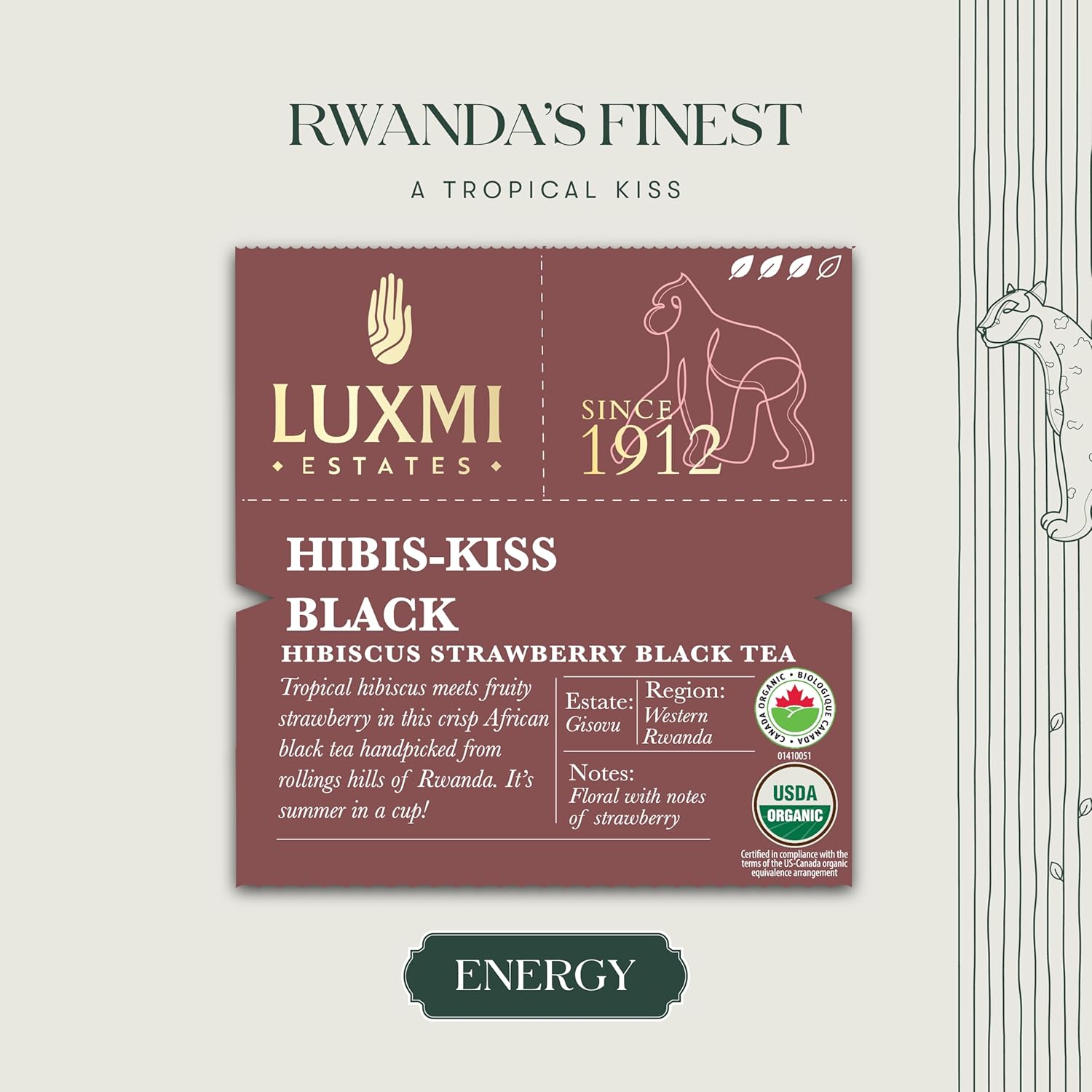 Luxmi Estates Hibis-Kiss Black Tea - 50gm, 1.7 Ounce, 25 Tea Bags | USDA Certified Organic Hibiscus Strawberry Black Tea - High Caffeine Black Tea | Additives Free Loose Leaves, Rich In Antioxidants