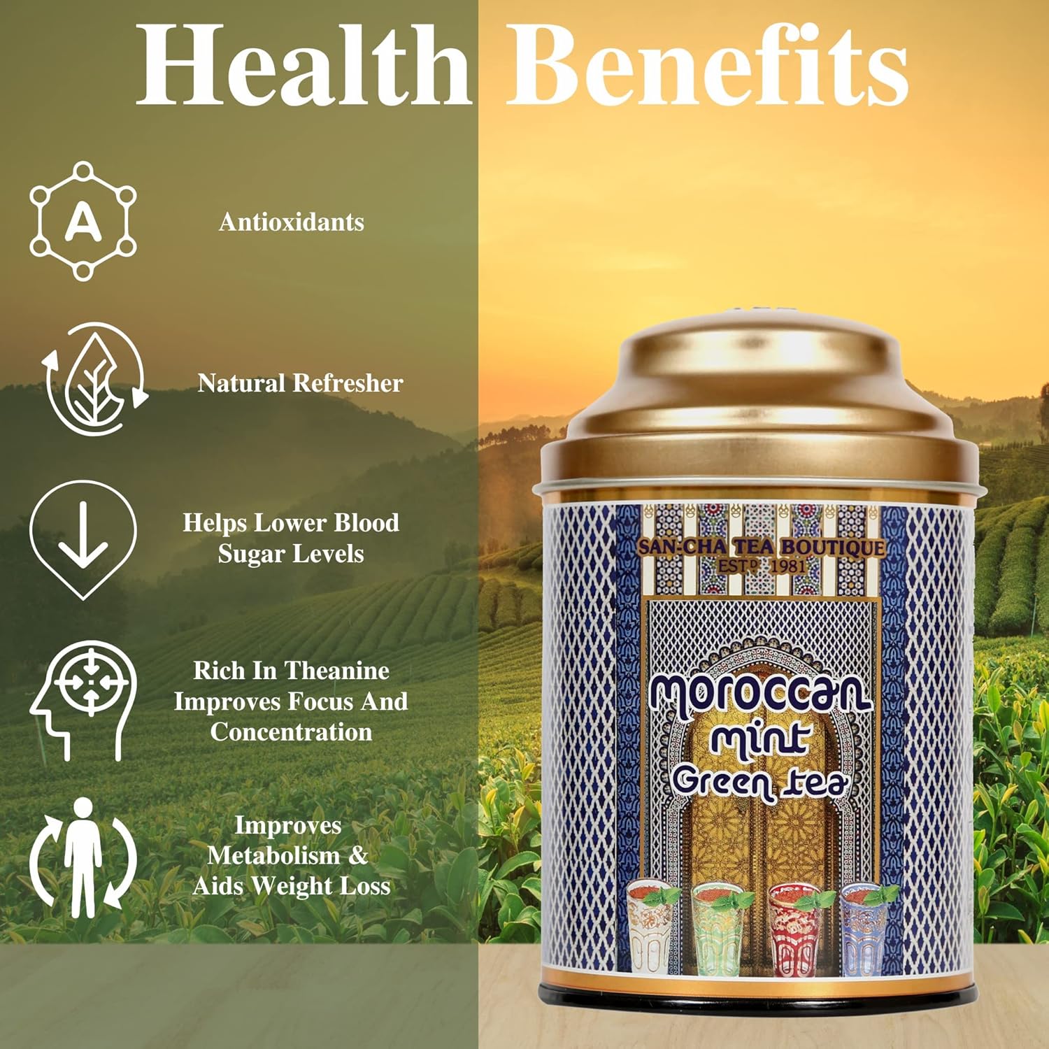 San-Cha Moroccan Mint Green Tea - 25 Tea Bags | Herbal Tea For PCOS & PCOD - Low Bitterness, Zero Calories, Low Caffeine